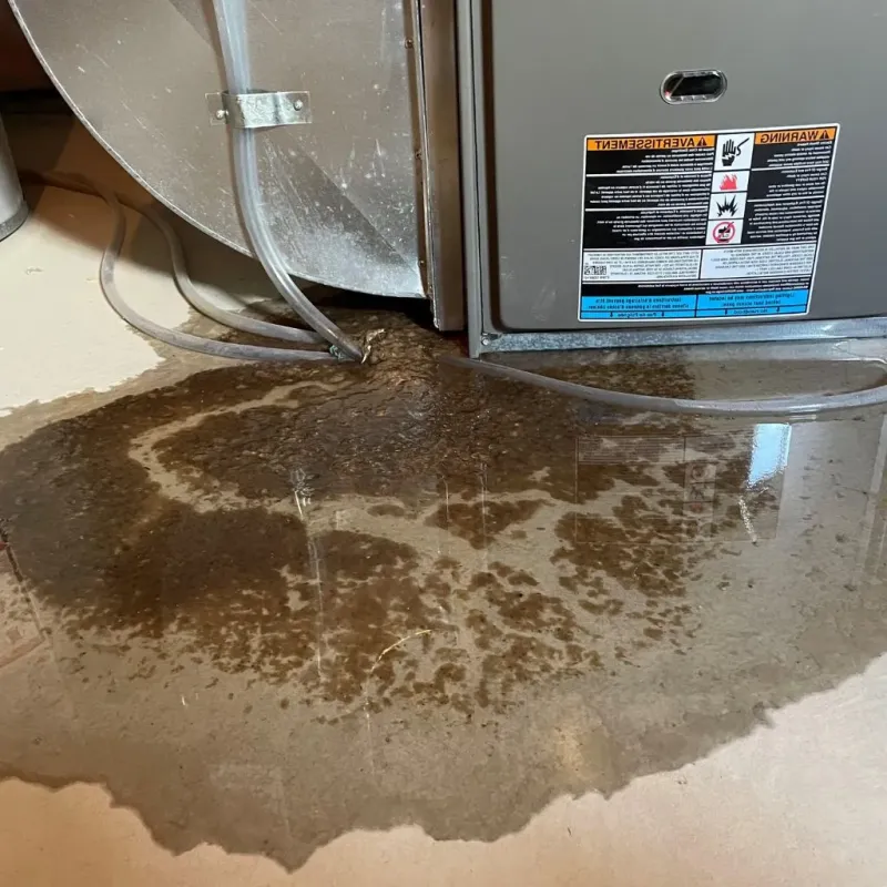 Pipe Burst and Leak Restoration in Stearns, KY