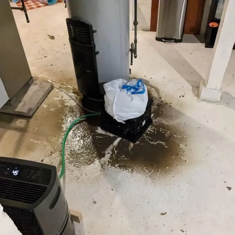 Sewage Backup Cleanup Service in Stearns, KY